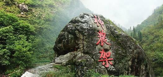 虫虫助手下载