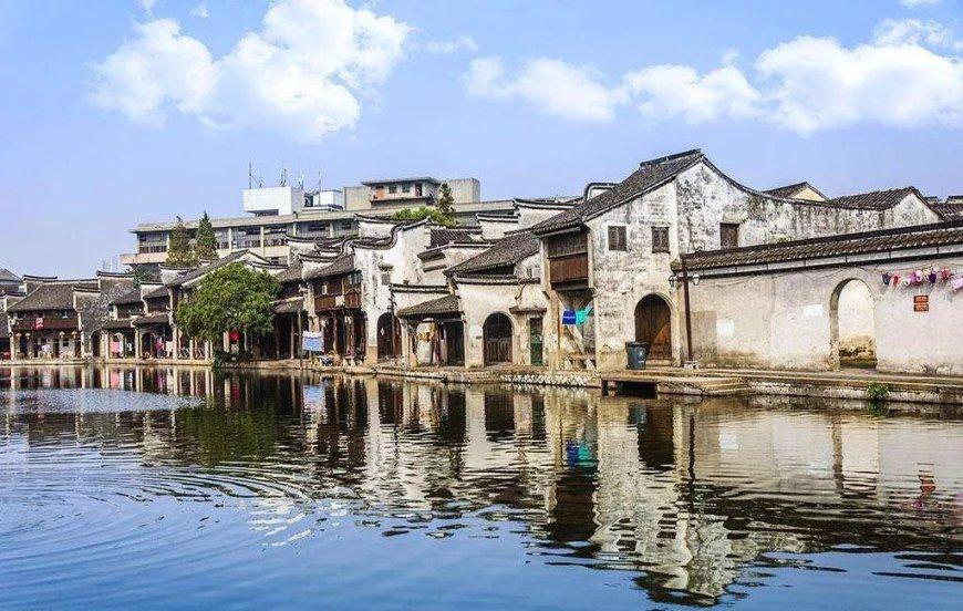 逃离仿真森林